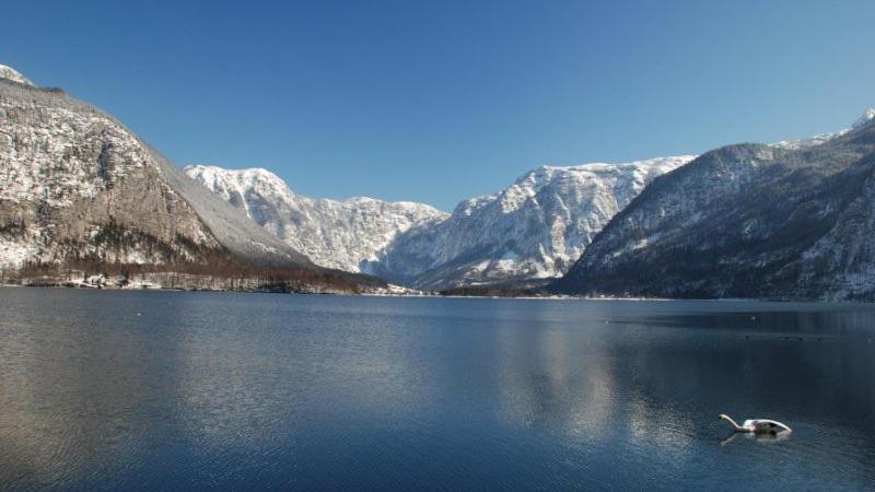 Ferienwohnung Krafttanken Hallstatt Ngoại thất bức ảnh