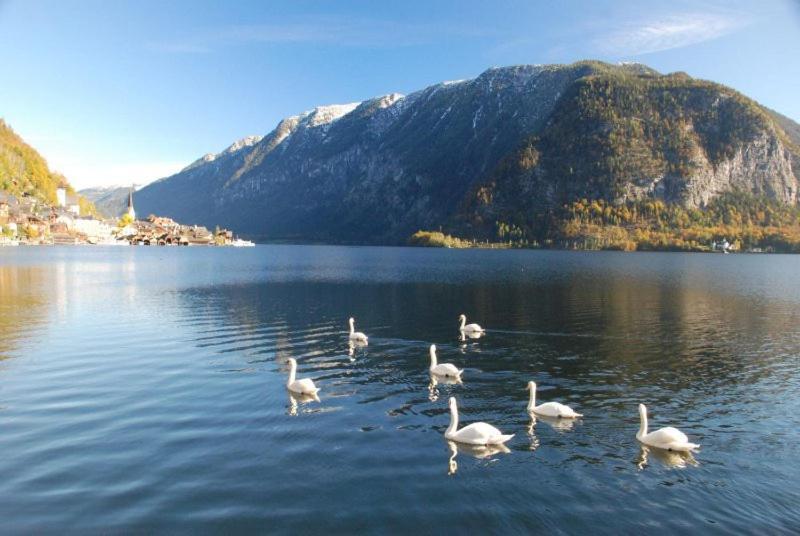 Ferienwohnung Krafttanken Hallstatt Ngoại thất bức ảnh